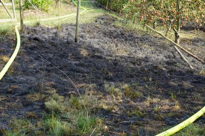 Brand einer groesseren Obstbaumwiese in Kirchheim-Jesingen